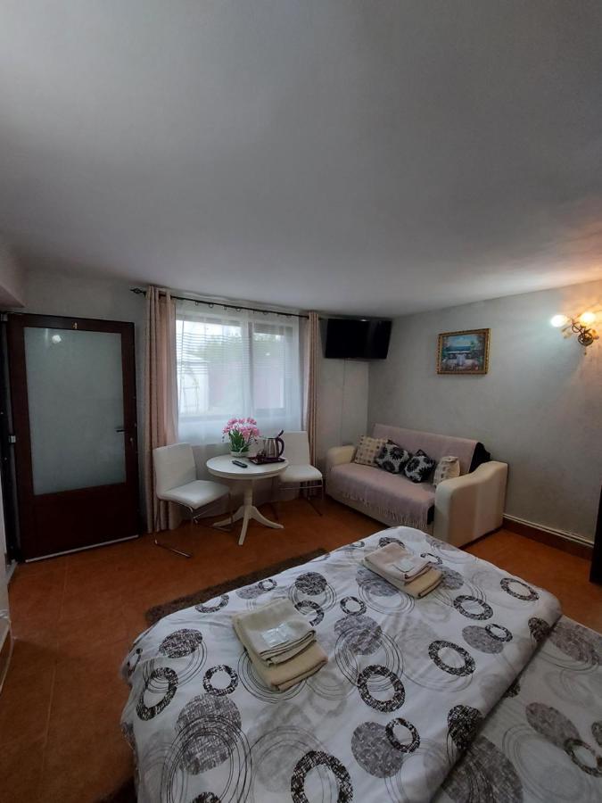 Villa Popas Turistic Terasa Europa à Tîrgu Ocna Extérieur photo